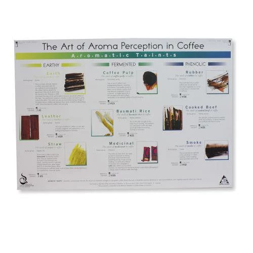 Art Of Aroma Set Of 4 Posters SCAA 5 Art Of Aroma Set Of 4 Posters SCAA